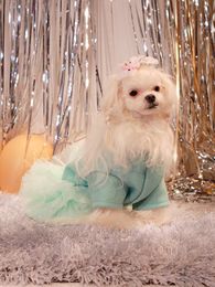 small and cute dogs Canada - Dog Apparel Teddy Princess Dress Bichon Pomeranian Small Dogs Cute Puppy Spring And Autumn Lace Tutu