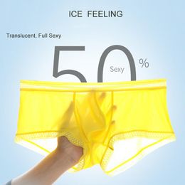 Underpants 2Pcs/ Bag Summer Style Translucent Ice Silk Men's Underwear 8 Colours M-3XL Size Thin And Quick-Drying Boxer Briefs For Men