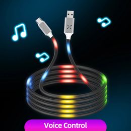 Luminous Voice Control USB Cable Type C Micro USB Phone Charger Cable Car Charger Cable