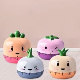 Timers Cute Vegetables Alarm Clock Time Management Tool 60 Minute Wind Up Dial Mechanical Kitchen Timer My17 21 Drop