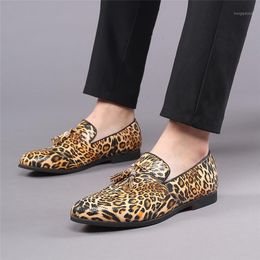 Buy Leopard Loafers Men Online Shopping at Buy Leopard Loafers Men Online Shopping at