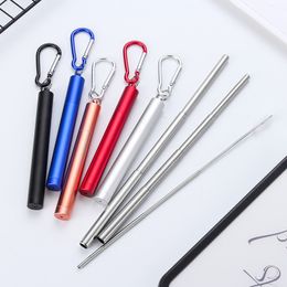 Portable Stainless Steel Telescopic Drinking Straw Outdoor Travel Easy Cleaning Reusable Durable Straws Brush Carry Case Carabiner Camping Supplies JY0577