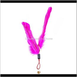 Toys Pet Supplies Home & Garden5Pcs Cat Teaser Replacement Feathers With Bell For Interactive Kitten Toy Wand Refills Drop Delivery 2021 Yp6K