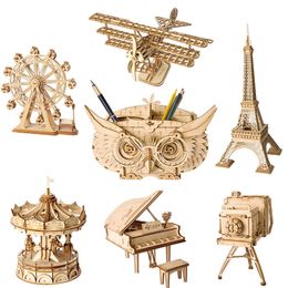 DIY 3D Wooden Puzzle Assembly Model Plane Merry Go Round Ferris Wheel Toys For Children