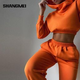 Women's Two Piece Pants Hoodies Trousers Set Tracksuit Suit Autumn Long Sleeve Hooded Crop Tops Basic Sets Female Casual Sport