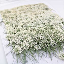 100pcs,Pressed white Lace flowers with Stem,Nature Real Flower for DIY Wedding invitation art bookmark Gift Card,Scented candles 210624