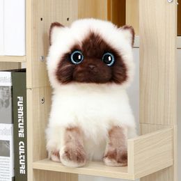 20CM / 26CM Simulation Siamese Cat Plush Toy Blue Sequins Eyes Dolls Brown and White Face Ragdoll Cats Home Decor Cute Gift for Baby LA277