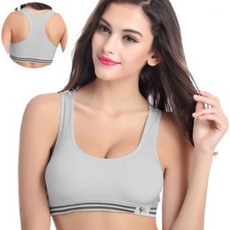 Wholesale Sportswear Nz Buy New Wholesale Sportswear Online From Best Sellers Dhgate New Zealand