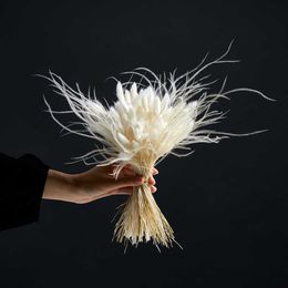 Dry Flower Natural Rabbit Grass Dried Feather Grass Preserved Flowers Party Wedding Bouquet Flower Plant Home Office Decoration 210624