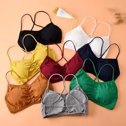 Fashion Threaded Beauty Back Sexy Women's Underwear Sweety Push-up Bra Female Brassiere Lingerie Bralette Camisoles & Tanks