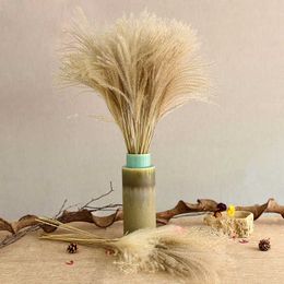 Natural Dried Flower Reed Flower Bouquet for Home Wedding Decoration High Quality Phragmite Bulrush Branch Photo Props Y0630