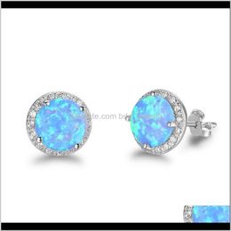 Jewellery Simple 925 Sterling Sier Stud Round Blue Fire Opal Earrings With Cubic Zirconia Wedding Jewellery Gift Drop Delivery 2021 Zrpst