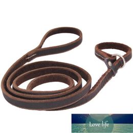 Dog Training Leash Genuine Leather P Leads Adjustable Neck Slip Collar Outdoor Running Traction Rope for Medium Big Dogs