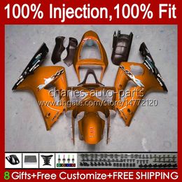 OEM Injection Mold For KAWASAKI NINJA ZX 6R 6 R 600 CC ZX600 ZX-6R 2003 2004 Bodywork 8No.123 ZX636 ZX 636 600CC 03-04 Body ZX600C ZX-636 ZX6R 03 04 Fairing Kit metal orange