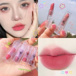 red tubes Canada - Lipstick Transparent Tube 10 Colors Waterproof Red Nude Beauty Makeup Long Lasting Matte Velvet Water Resistant Lip Stick