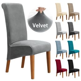 22 Colors Velvet Plush Chair Cover Stretch XL Size Long Back Covers Dining Room s For Kitchen Home Decor WED 211207