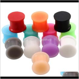 & 24Pcs 3-25Mm Solid Sile Plugs Tunnels Stretcher Expander Ear Gauges Earring 12 Colours Body Piercing Jewellery Q Sqcxpa Drop Delivery 2021 Vt