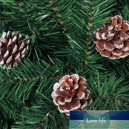 Decorative Flowers & Wreaths 6Pieces Mini Pinecone Pine Cones For Christmas Tree Toppers Vase Bowl Filler Displays Crafts Home Decor1 Factory price expert design