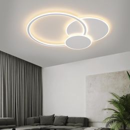 Ceiling Lights Modern Nordic Style LED Lamp For Living Room Bedroom Dining Kitchen Chandelier White Round Ring Simple Design Light