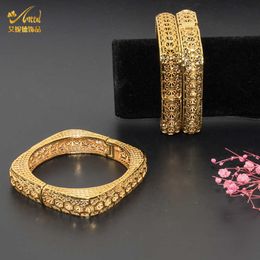 Aniid Woman Bracelet Jewelry Women Charms for Making Bangles Gold Designs for Ladies 2021 Custom Trendy Chunky Hawaiian Acier Q0717