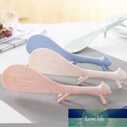 Spoons Creative Lovely Plastic Squirrel Rice Spoon Kitchen Accessories For Cuisine Instruments Gadgets1