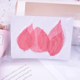 Decorative Flowers & Wreaths 6pcs/bag King Kong Leaf Vein Dried Flower Real Pressed Embossing Material DIY Hand-Drip Phone Case