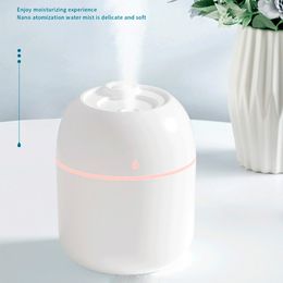 Portable Mini Humidifier USB Air Diffuser Fogger Mist Maker Face Steamer Sprayer For Home Office Car