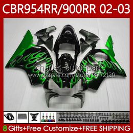 Bodywork For HONDA CBR900RR CBR954RR CBR900 CBR954 RR Body 61No.142 CBR 900 954 CC RR 954CC 2002 2003 Green flames CBR 954RR 900RR 02 03 CBR954-RR 2002-2003 Fairing Kit