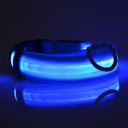 Dog Collars Nylon Pet Night Safety LED Light Flashing Glow in the Dark Small Leash Safety Collar