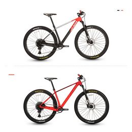 29 Inch Mountain Bike Bicycle Carbon Fibre Bicycle Double Disc Brake 12 Speed Racing Men's And Women's Bikes Bicycles CAMPIONE