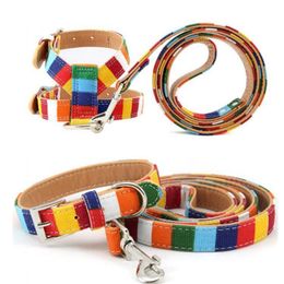 Fashion Rainbow Stripes Dog Collars Leashes Harnesses Set Adjustable Durable Colorfast Suitable For Small Medium Large Dogs Size Extra S 8" to 12" Long