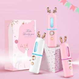 2021 cute New cartoon deer water replenishment instrument sprayer USB charging facial humidifier beauty instrument spray instrument