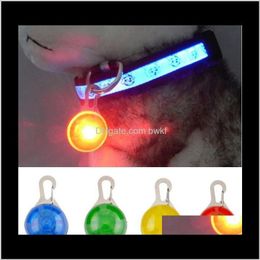 Tag,Id Card Pet Supplies Home & Gardenpet Dog Cat Flashing Bright Safety Led Security Necklace Night Light Collar Pendant Drop Delivery 2021