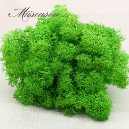 10g Landscape Artificial Everlasting moss plant eternal grass garden home decor DIY flower material garden micro accessories