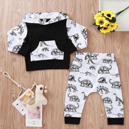 Baby Boy Outfits Infant Dinosaur Printed Hoodie Pants 2PCS Sets Long Sleeve Boys Clothes Set Boutique Baby Clothing DW4406