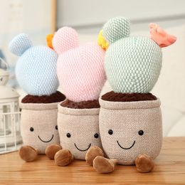 Cactus Plants Plush Toy Stuffed Colourful Mushrooms Potted Succulent Bookshelf Home Living Room Decor For Girl Gift