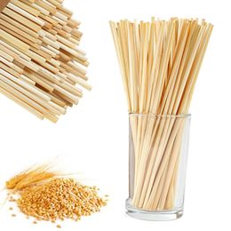 Pack of 100 Eco-friendly Biodegradable Drinking Straws Disposable Natural Wheat Straws Cocktail Straw Bar Milk Tea Drinks