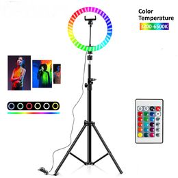 Lighting RGB Colorful LED Ring Light 10 Inch 160cm Stand Rainbow Ringlight USB With Phone 16 Light Colors For Live Broadcast Photo