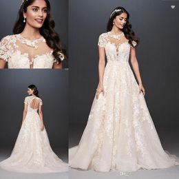 Lace Illusion Cap Sleeve Ball Gown Wedding Dress Oleg Cassini Sheer O-neck Lace Applique Open Back David's Bridal Wedding Gown
