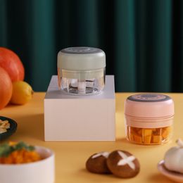 Mini Electric Garlic Chopper 100/250ml Sturdy Durable Mini Crusher Portable Food Processor USB Charging Smart Kitchen Tool 1165 V2