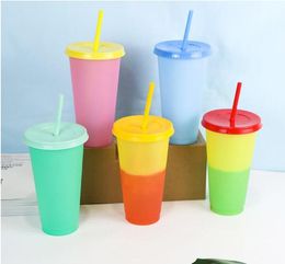 710ml Temperature Colour Changing Cup Plastic Tumbler Cold Drink Bottle with Straw and Lid Magic Cup Summer Drinkware