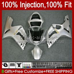 Injection Mould Fairings For KAWASAKI NINJA ZX-6R ZX-636 ZX 6R 600 CC 6 R ZX636 03-04 Bodywork 8No.20 glossy silvery ZX 636 600CC ZX6R 03 04 ZX600C ZX600 2003 2004 OEM Bodys