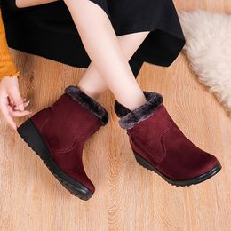 Boots Winter Ankle Women Shoes 2021 Fashion Non-slip Warm Plush Zipper Casual Woman Snow Drop