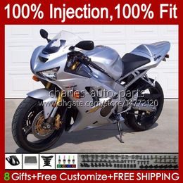 Injection Mould Fairings For KAWASAKI NINJA ZX-6R ZX-636 ZX 6R 600 CC 6 R ZX636 03-04 Bodywork 8No.29 ZX 636 600CC ZX6R 03 04 ZX600C ZX600 2003 2004 OEM Bodys stock silvery