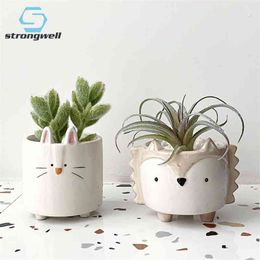 Strongwell Succulent Ceramic Flowerpot Hedgehog Puppy Cute Animal Flower Pot Creative Mini Garden Bedroom Desktop Birthday Gift 210922