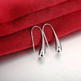 Dangle & Chandelier 2021 925 Silver Earring Fashion Jewelry Teardrop/Water Drop/Raindrop Earrings For Women Valentine Gifts