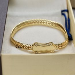 3 Colours Stainless Steel Snake Bone Chain Bracelet Fashion Womens Designer Bracelet Classic Luxurious Gold Plate Jewellery
