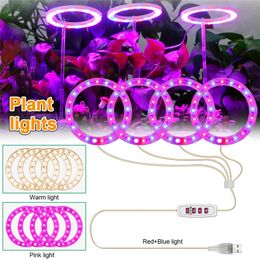 DC5V USB Grow Light Angel Four Ring With Dimming Timing controller LED Plant lamp For Indoor Seedlings Flower Succulet Blooming Fruiting