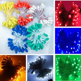 100pcs/ lot 10cm F9MM Single Colour Led Pixel Modules DC12V IP67 Waterproof Point Lights For Leds Display Advertisement Free Ship