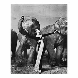 Richard Avedon Dovima com elefantes vestido de noite Pintura de fotografia Poster Impressão Home Decor emoldurado ou Imprimido Material Fotopaper